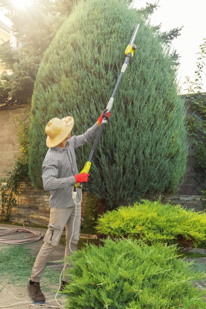 Lawn Grading and Leveling in Roslyn, NY